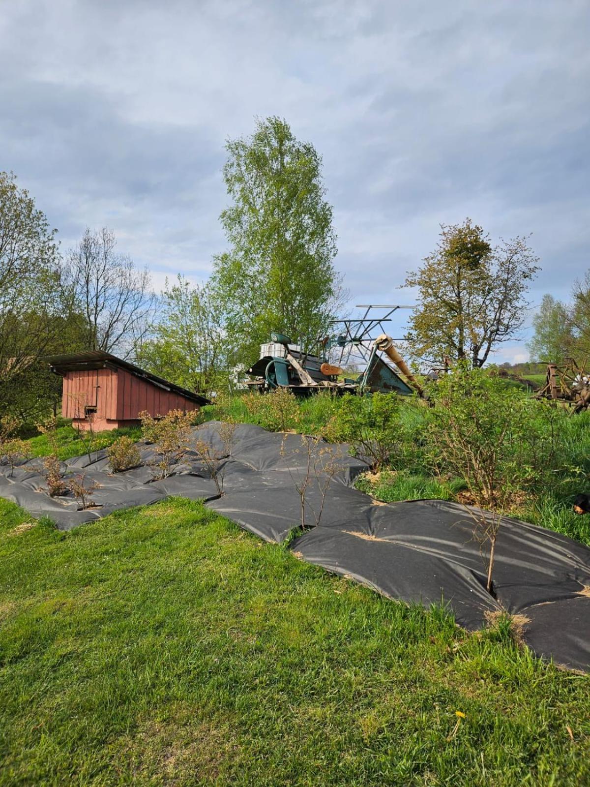 Domek Na Korcie Lubomierz  Exterior photo